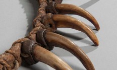 金年会-缁忔祹鏂伴椈